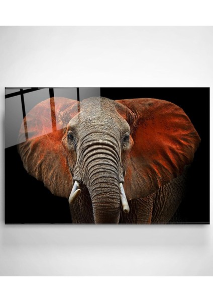 Fil Cam Tablo, Dekoratif Cam Tablo fiyatları