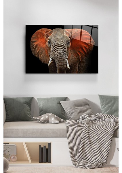 Fil Cam Tablo, Dekoratif Cam Tablo fırsatları