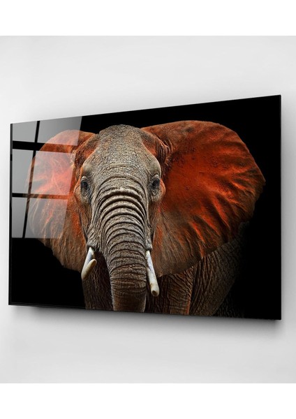 Fil Cam Tablo, Dekoratif Cam Tablo indirimleri