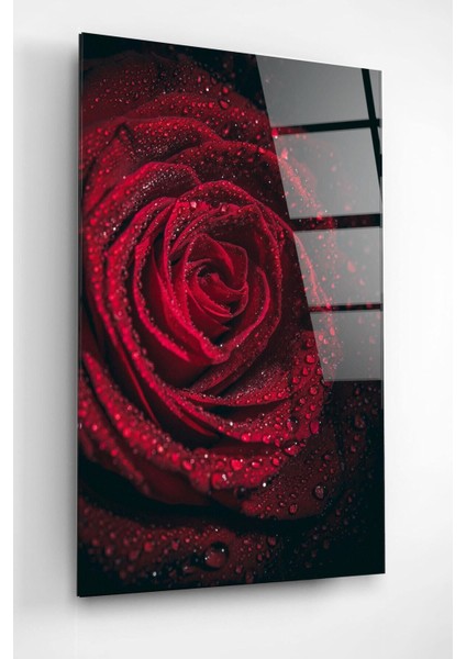 Rose Cam Tablo, Dekoratif Cam Tablo modelleri