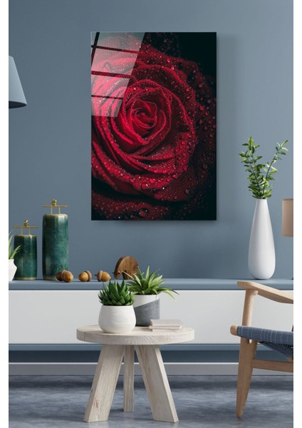 Rose Cam Tablo, Dekoratif Cam Tablo fırsatları