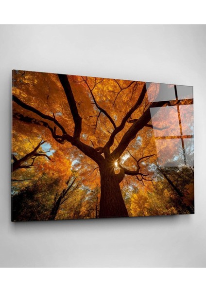 Ağaç Cam Tablo, Dekoratif Cam Tablo modelleri