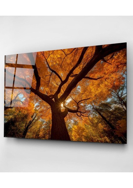 Ağaç Cam Tablo, Dekoratif Cam Tablo indirimleri