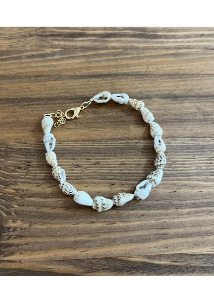 Deniz Kabuğu Bileklik