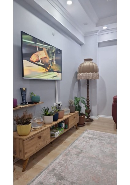 Pembe Ayışığı Abajur Lambader Şık ve Modern Tasarım modelleri