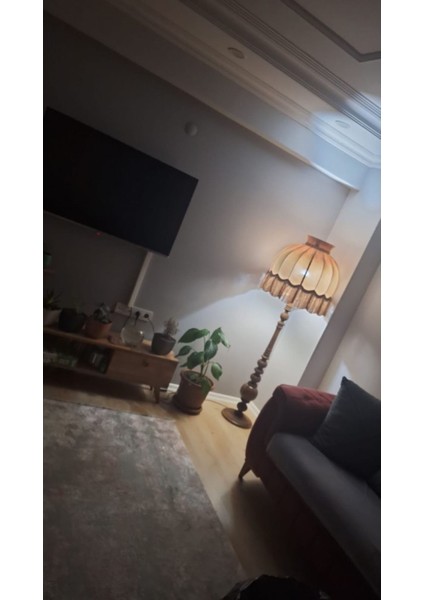 Pembe Ayışığı Abajur Lambader Şık ve Modern Tasarım fırsatları