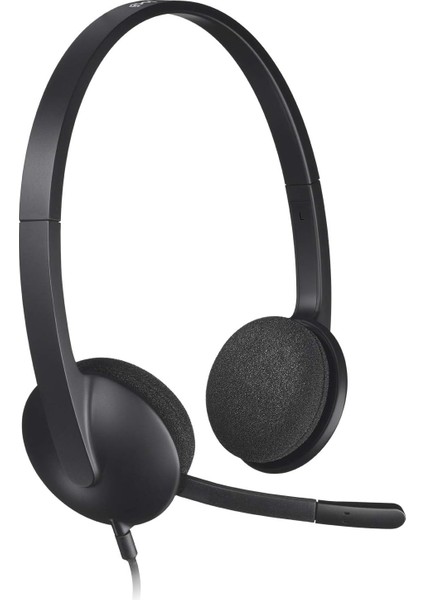 H340 Mikrofonlu Stereo Kulaklık, Gürültü Azaltmalı Ayarlanabilir Mikrofon, Döner Kulak Dolgusu, USB Bağlantısı, 1,8 M Kablo, Pc/mac/laptop, Siyah