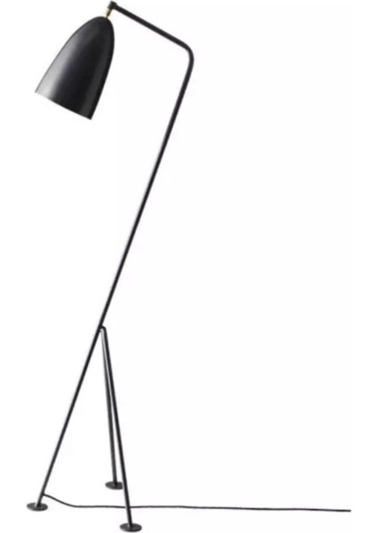 Şık Siyah Metal Köşe Lambası, Modern Dekoratif Aydınlatma Parçaları