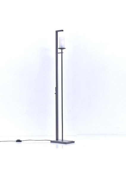 Antrasit Metal Lambader 4832, Şık ve Modern Tasarım, Zarif Aydınlatma Seçeneği