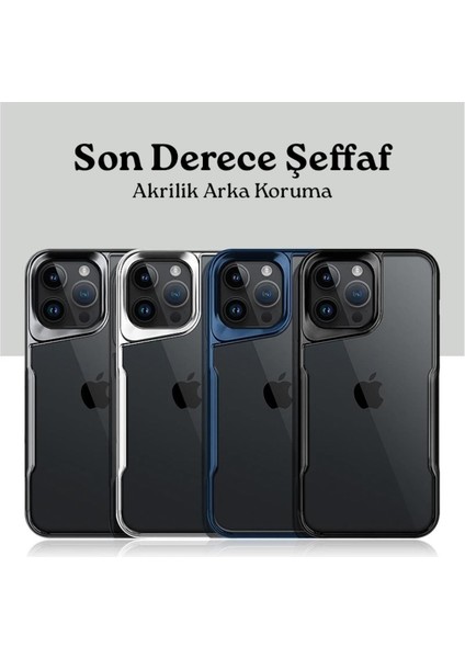 Apple iPhone 12 Pro Max Uyumlu Kılıf Zebana Platin Silikon Kılıf Siyah