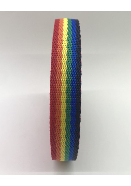 2,5 cm Gökkuşağı Şerit, Dar Dokuma, 05 Mt. Renkli ve Şık Tasarım fiyatları