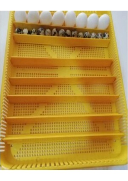 Gelişim ve Çıkım Tablası