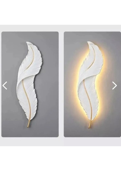 Aydınlatmalı Tüy Aplik 2'li Set, Beyaz, Pilli, LED Işık, Polyester modelleri