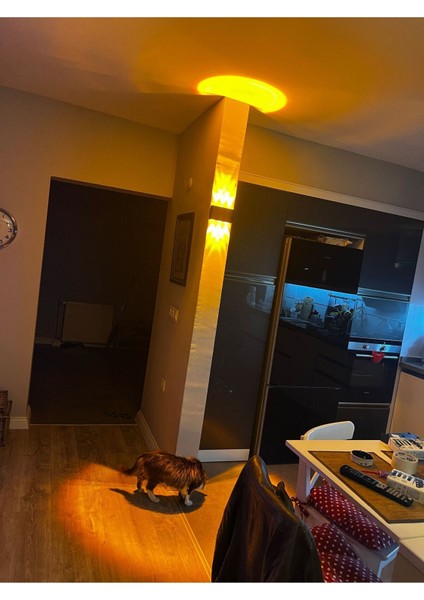 12W Amber LED Aplik, Iç-Dış Mekan, Yüksek Güçlü, Elektrikli, Siyah