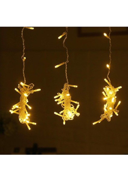 8 Fonksiyonlu 200 LED 10 Saçak Şerit LED 2x2 Perde Ip LED Gün Işığı