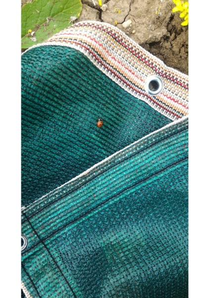 4x5 M Yeşil Gölgelik File Bahçe Gölgeliği, Serin ve Konforlu Alanlar Sağlar fırsatları