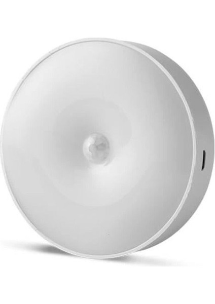Mıknatıslı LED Spot, Şarjlı, Sensörlü, Çok Renkli, Kabin Için, 3200K