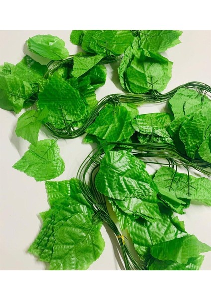 Yeşil Yapraklı Dekoratif Sarmaşık, Üçgen Yaprak Asma, Şık ve Doğal Görünüm modelleri