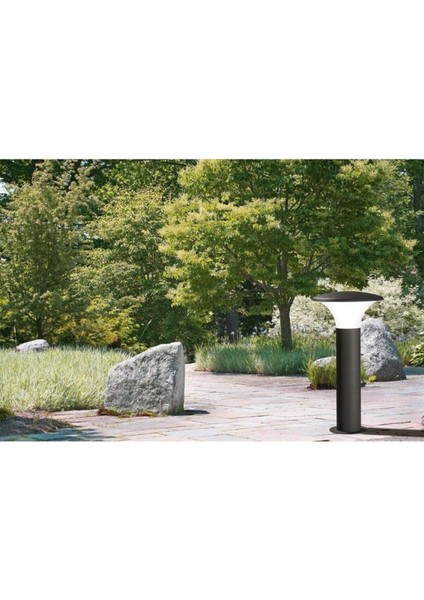 29 cm E27 Duylu Mantar Aplik, Bahçe, Yol, Çim Aydınlatma, Dekoratif Set Aplik