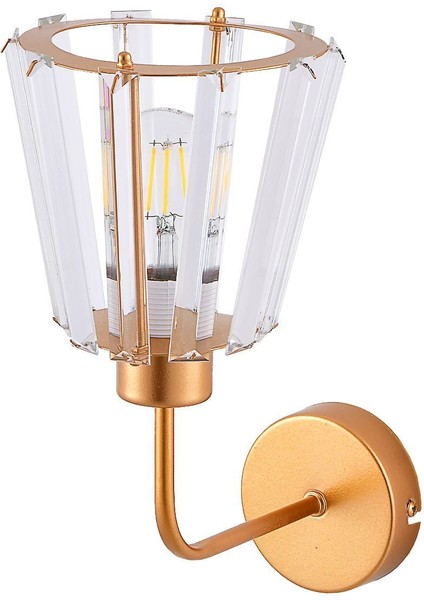 Parlak Taşlı Altın Detaylı Şık Ürün modelleri