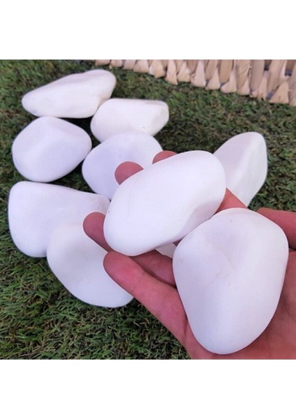 Beyaz Dolomit Taş 4 kg 4-6 cm Bahçe ve Dekor Için Doğal Çakıl Taşı fırsatları