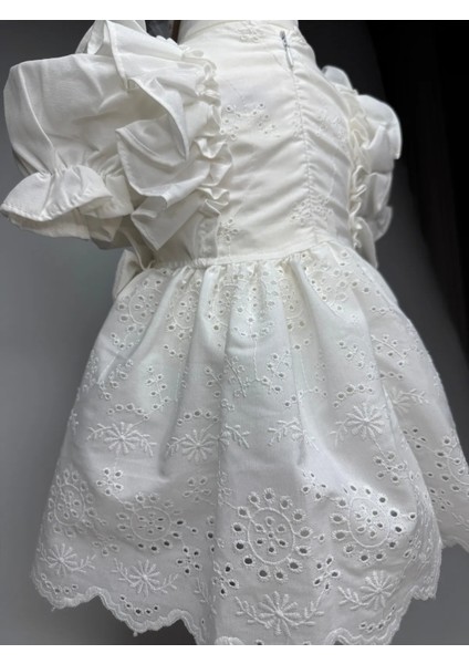 Kız Bebek Fırfırlı ve Fiyonklu Şık Elbise Abiye modelleri