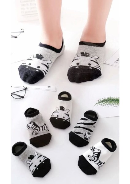 Çocuk Zebra Desenli Renkli Patik Çorap Seti 5'li Paket