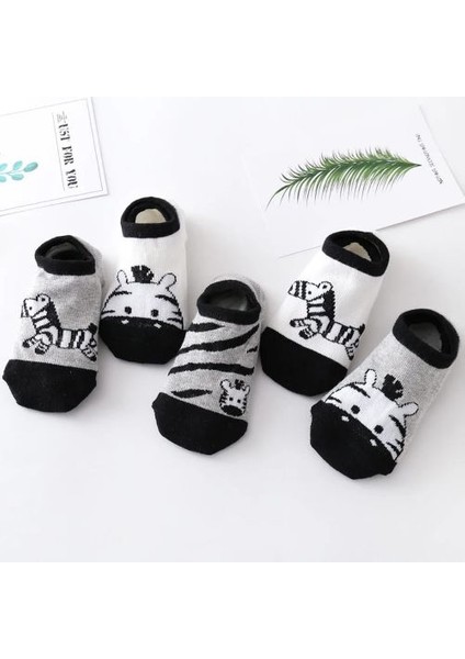 Çocuk Zebra Desenli Renkli Patik Çorap Seti 5'li Paket