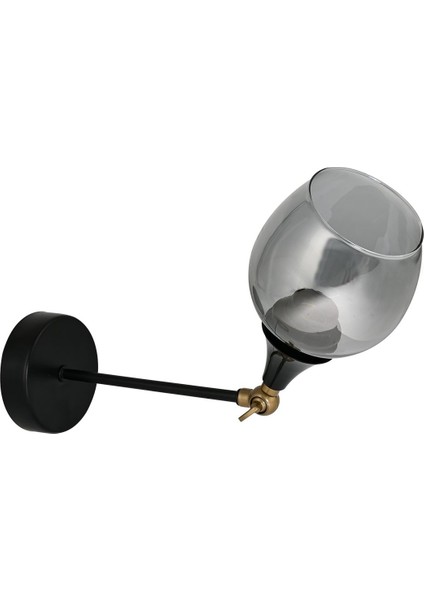 Ayarlı ve Oynar Başlıklı Şık Camli Siyah Aksesuar modelleri