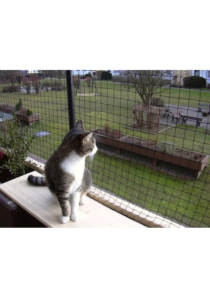 2X10M Balkon Kuş ve Kedi Kümesi Filesi, 20M² Dayanıklı ve Esnek Teli