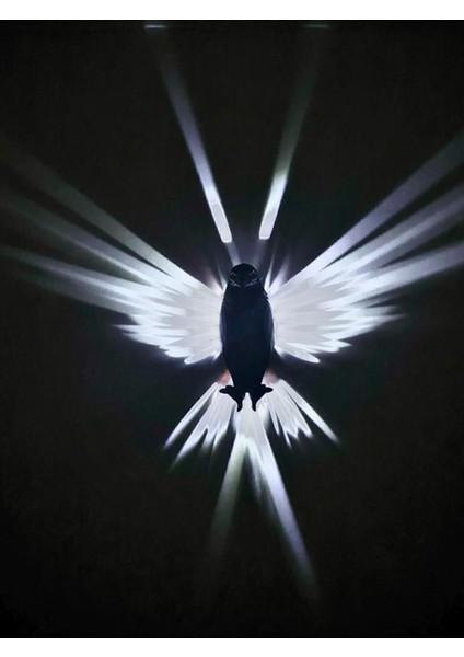 Pilli Kartal Şeklinde 3D Baskılı Dekoratif Gece Lambası, Siyah