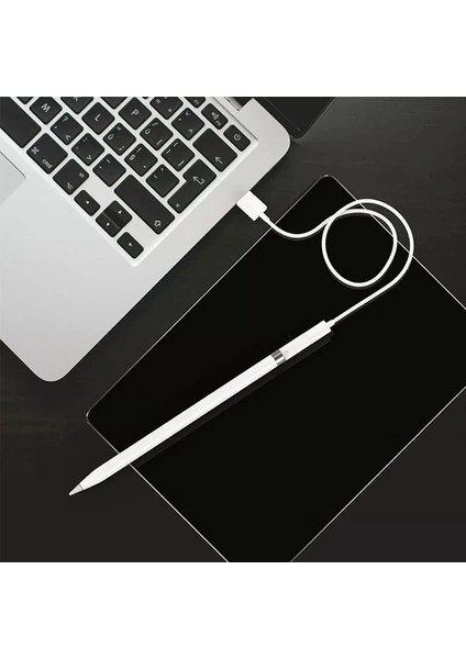 Ally Dişi Lightning To Lightning Dönüştürücü Apple Pencil Kalem Şarj Adaptö - YKD6455-3395