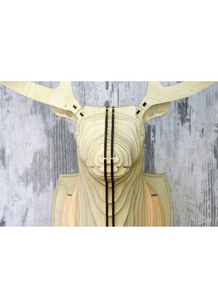 Doğal Ahşap Geyik Kafası Duvar Aplik, Rustik Tasarım, Ampul Dahil indirimleri