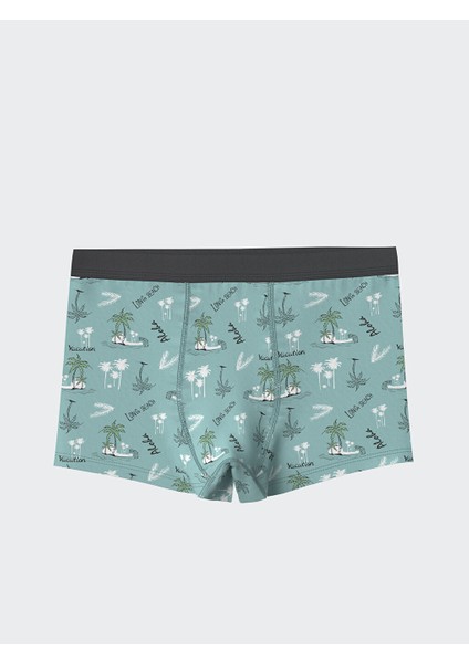 Yeni Sezon Baskili Erkek Cocuk Boxer 3'lu - S5HN74Z4 fiyatları