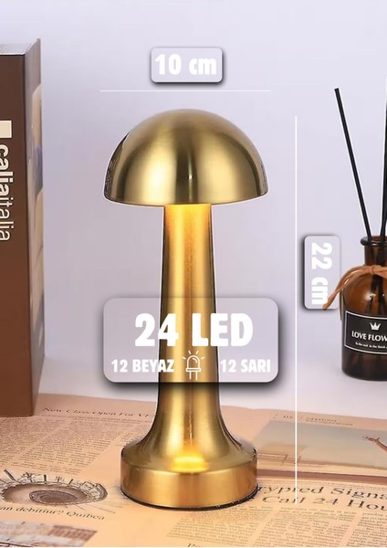Renkli Metal Şarjlı Masa Lambası, Dim Edilebilir, Gold, CT-8429 modelleri