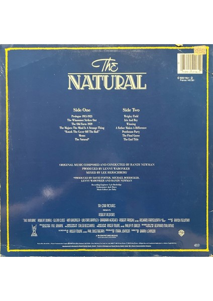 Randy Newman The Natural Lp Plak fiyatları