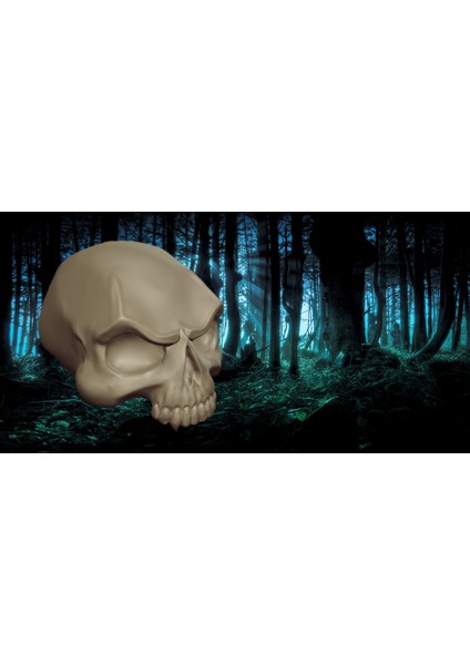 Kafatası - Vamp (Plastik Aparattır!!!) fiyatları