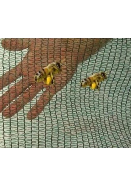 Yeşil Gölgeleme Filesi, 200CM En, 10M Uzunluk, Hafif ve Dayanıklı