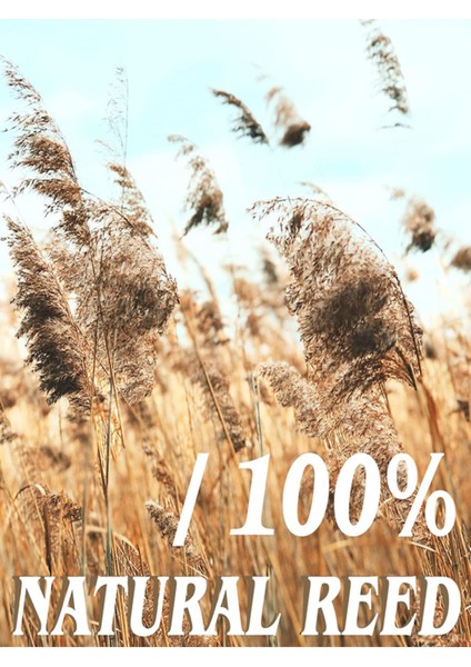100X100 cm Doğal Bambu Kamış Hasır Bahçe ve Balkon Çiti, Gölgelik ve Dekoratif Kullanım
