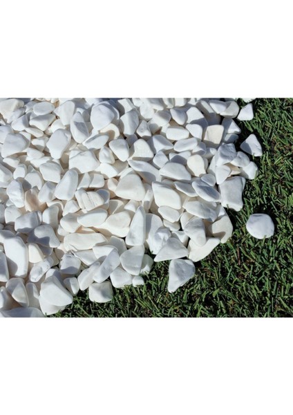 Beyaz Dolomit Taşı 4 Kg, 1-2 Cm, Bahçe, Çakıl, Saksı ve Teraryum Dekoru