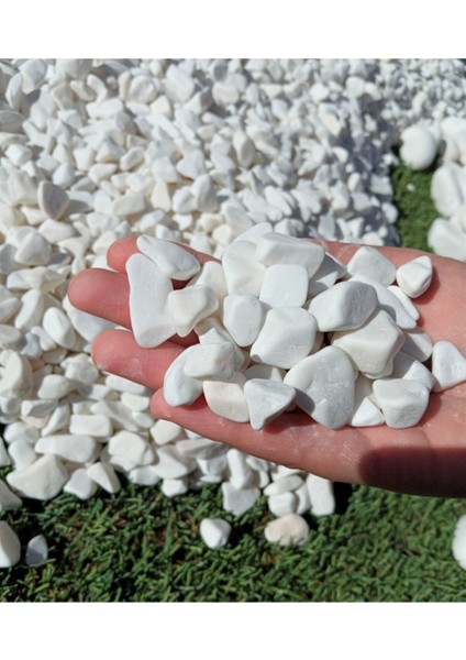 Beyaz Dolomit Taşı 4 Kg, 1-2 Cm, Bahçe, Çakıl, Saksı ve Teraryum Dekoru fiyatları