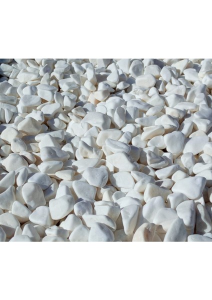 Beyaz Dolomit Taşı 4 Kg, 1-2 Cm, Bahçe, Çakıl, Saksı ve Teraryum Dekoru modelleri