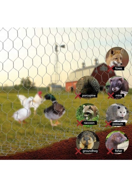 Kümes Teli, 120 cm Eninde, 2 M Uzunluğunda Dayanıklı ve Pratik Kullanım Için Uygun modelleri