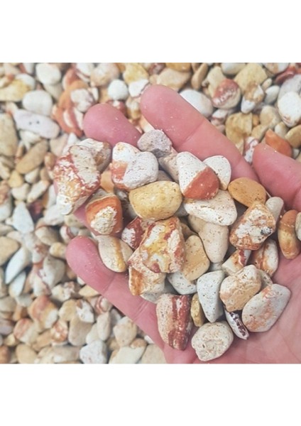 Sarı Çizgili Dolomit Taş 3 kg 1-2 cm Bahçe ve Akvaryum Süs Taşı