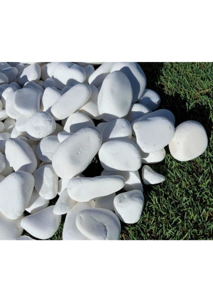 Beyaz Dolomit Taşı 3 Kg, 2-4 Cm, Bahçe, Saksı, Akvaryum ve Teraryum Için