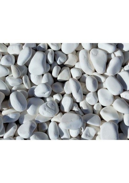 Beyaz Dolomit Taşı 3 Kg, 2-4 Cm, Bahçe, Saksı, Akvaryum ve Teraryum Için modelleri