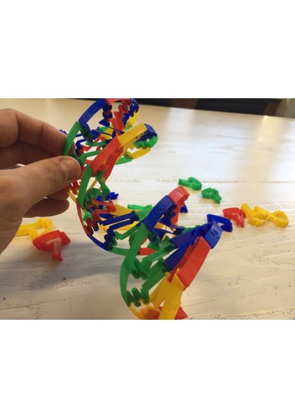 Dna Oyun Seti (Plastik Aparattır!!!) 3D indirimleri