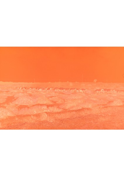 Dslr 35MM Film Negatif Tarayıcı Teçhizatı (Plastik Aparattır!!!) 3D fırsatları