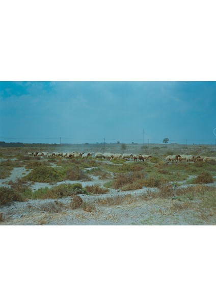 Dslr 35MM Film Negatif Tarayıcı Teçhizatı (Plastik Aparattır!!!) 3D indirimleri