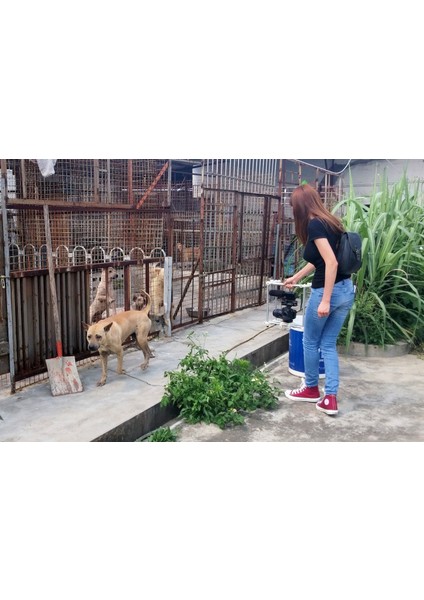 Dslr Kafesi (15MM Rail) Remix- Lazerlerle! (Plastik Aparattır!!!) 3D fırsatları